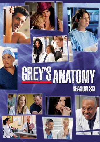 Grey's Anatomy - Season 6