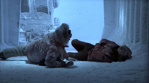 House S4E11 - Frozen