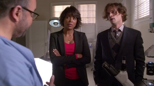 Criminal Minds S11E17 - The Sandman