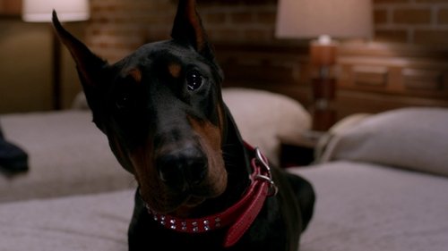 Supernatural S8E15 - Man's Best Friend with Benefits