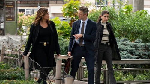 Law & Order: Special Victims Unit S22E2 - Ballad of Dwight and Irena