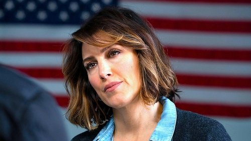 Law & Order: Special Victims Unit S20E15 - Brothel