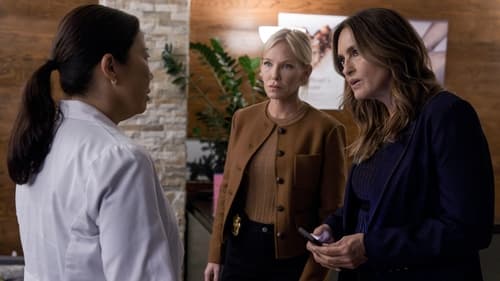 Law & Order: Special Victims Unit S26E3 - Divide & Conquer