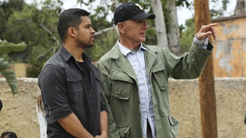 NCIS S14E24 - Rendezvous