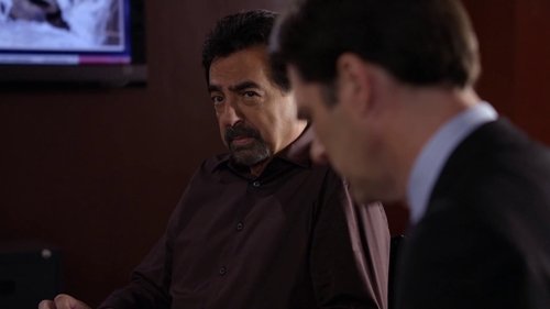Criminal Minds S6E9 - Into the Woods
