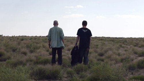 Breaking Bad S2E3 - Bit by a Dead Bee