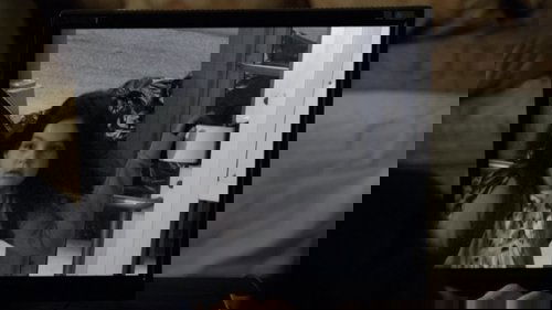 Law & Order: Special Victims Unit S12E1 - Locum