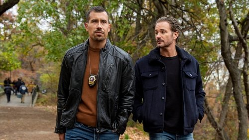 Law & Order: Special Victims Unit S26E13 - Extinguished