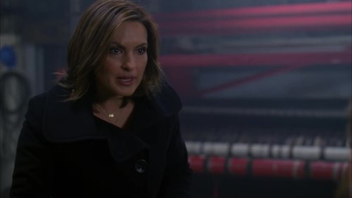 Law & Order: Special Victims Unit S10E12 - Hothouse