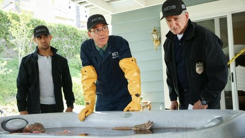 NCIS S16E2 - Love Thy Neighbor