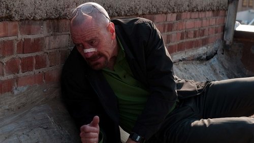 Breaking Bad S4E12 - End Times