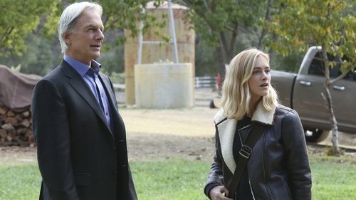 NCIS S13E10 - Blood Brothers