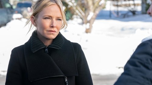 Law & Order: Special Victims Unit S22E10 - Welcome to the Pedo Motel