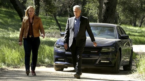 NCIS S14E22 - Beastmaster
