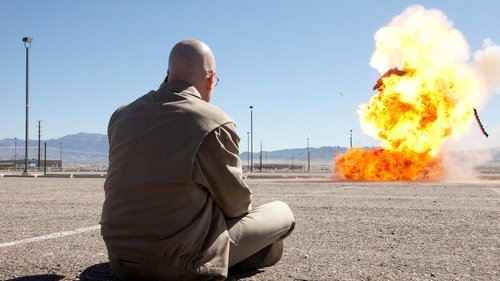 Breaking Bad S4E7 - Problem Dog