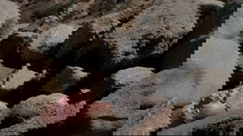 Criminal Minds S9E6 - In the Blood