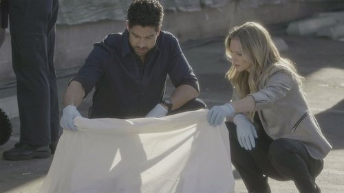 Criminal Minds S12E12 - A Good Husband