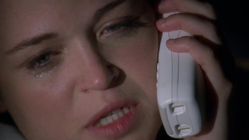 Law & Order: Special Victims Unit S10E21 - Liberties