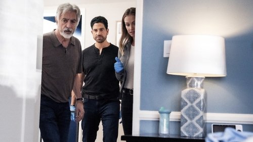 Criminal Minds S16E1 - Just Getting Started