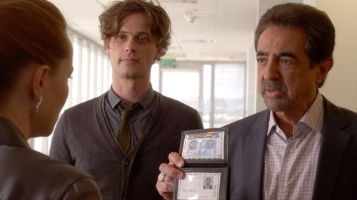 Criminal Minds S11E2 - The Witness