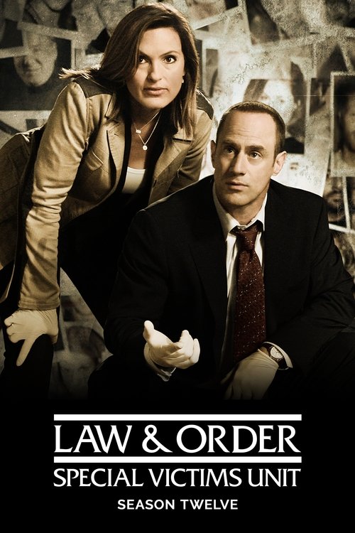 Law & Order: Special Victims Unit - Season 12 Poster