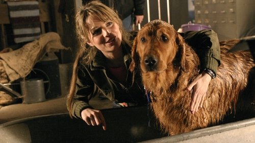 Smallville S4E14 - Krypto