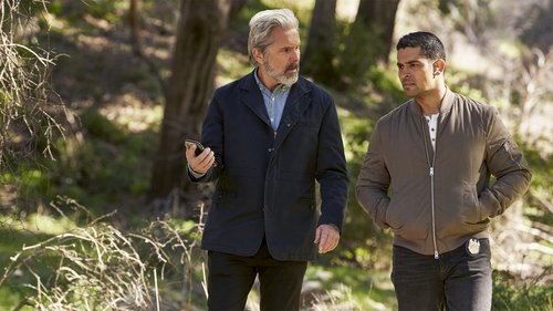 NCIS S19E16 - The Wake