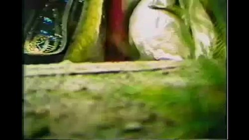 Pili S6E13 - Episode 13