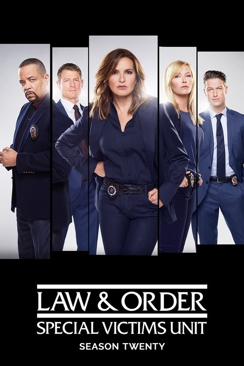 Law & Order: Special Victims Unit - Season 20 Poster
