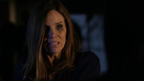 Criminal Minds S6E4 - Compromising Positions