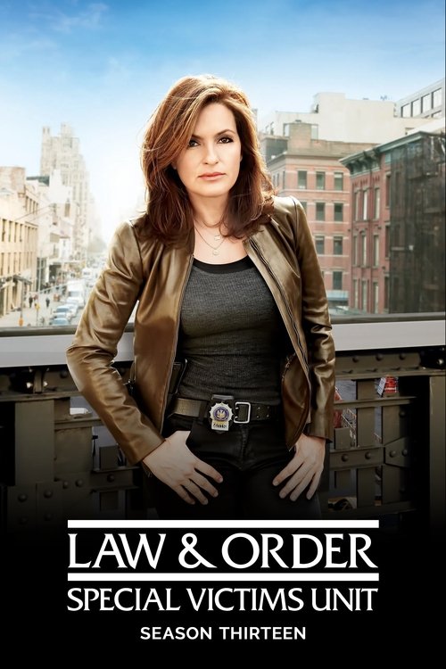 Law & Order: Special Victims Unit - Season 13 Poster