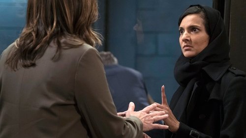 Law & Order: Special Victims Unit S18E20 - American Dream (1)