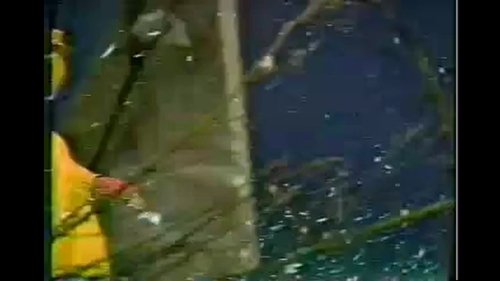 Pili S6E36 - Episode 36