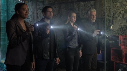 Criminal Minds S17E9 - Stars & Stripes