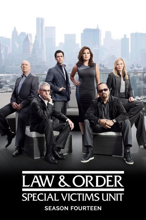 Law & Order: Special Victims Unit - Season 14 Poster
