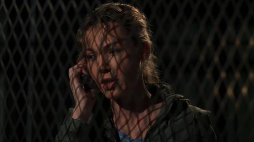 Law & Order: Special Victims Unit S8E5 - Confrontation