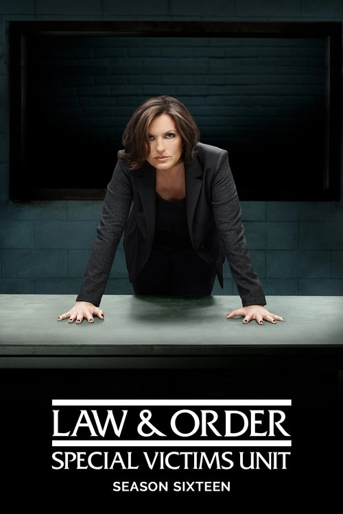 Law & Order: Special Victims Unit - Season 16 Poster