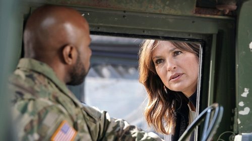 Law & Order: Special Victims Unit S19E18 - Service