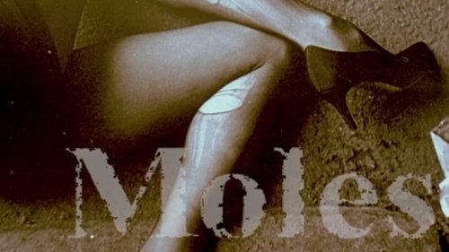 Law & Order: Special Victims Unit S13E8 - Educated Guess