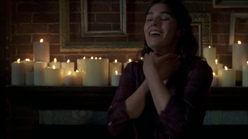 Law & Order: Special Victims Unit S8E15 - Haystack