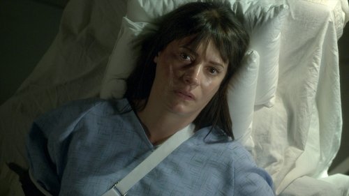 Criminal Minds S13E1 - Wheels Up