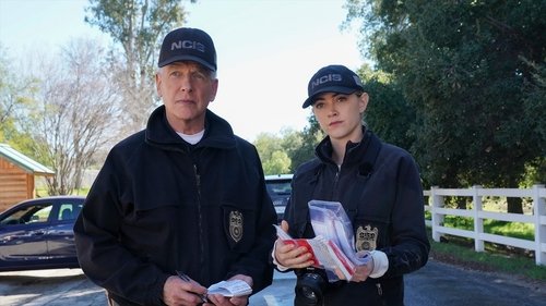 NCIS S17E17 - In a Nutshell