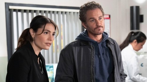 Law & Order: Special Victims Unit S26E6 - Rorschach