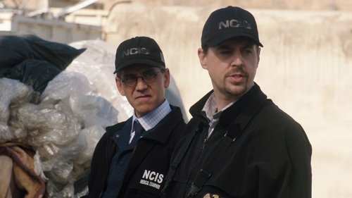 NCIS S19E12 - Fight or Flight