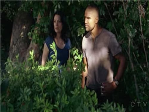 Criminal Minds S3E6 - About Face