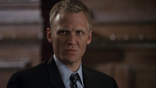 Law & Order S12E24 - Patriot