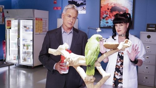 NCIS S14E3 - Privileged Information