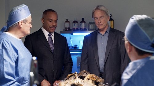 NCIS S15E8 - Voices