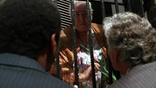 Law & Order S15E5 - Gunplay