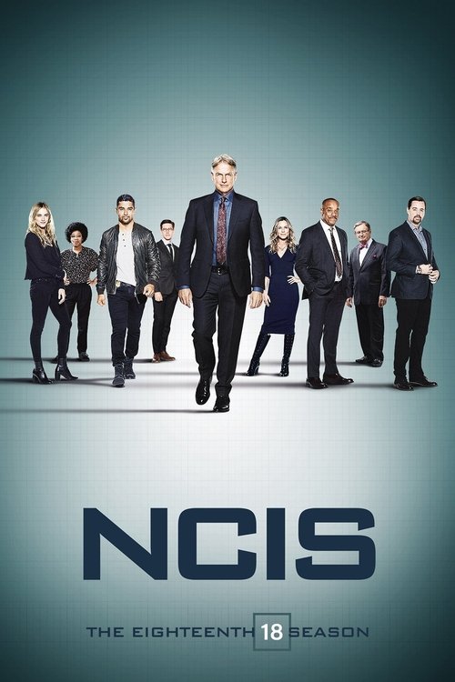 NCIS - Season 18 Poster
